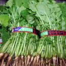 청정칼국수 이미지