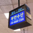 썬수산 이미지