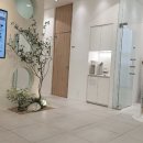 구피염색방 이미지