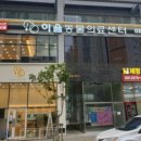 동탄해나동물병원 티스토리