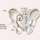 바름필라테스 네이버블로그