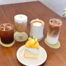 2024년 5월 도서관 주간 이미지