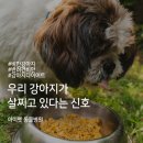 신호동물병원 이미지