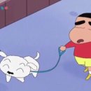 구리동물병원 이미지