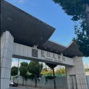 용인대 하나 태권도 이미지