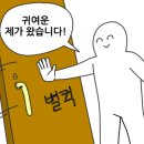 태양카센타공업사 이미지