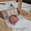 소피아 | 소피아 산후조리원 후기❤️(1~3일차)