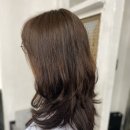 바오헤어(Bao hair)
