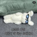 씨유울진연호로점 | 연휴의 끝과 출근 시작