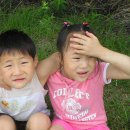 부강유치원 이미지