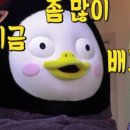 나경이네 이미지