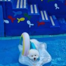 멍빌리지펜션 이미지