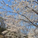 정평공원 이미지