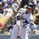 메이저 이미지