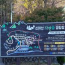 (주)신어산 자연숲캠핑장 이미지