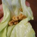 붉은수염스몰