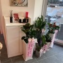 하랑하다 이미지