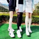 스타킹 이미지