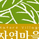 자연마을 네이버블로그