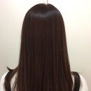 다연컨설팅