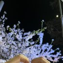 여의동로7길 이미지