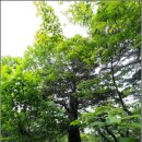 금천목장 이미지