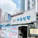여우선장