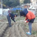 당근다방
