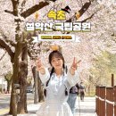 수산역사공원 | 강원도 속초 갈만한곳 설악산 국립공원 날씨 벚꽃 명소