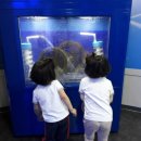 목련프로젝트어린이집 이미지