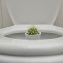 신남S항외과의원 이미지