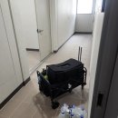 수원-0843 | 용인/수원/동탄 홈케어 | 매트리스 청소 후기 "비치움필승스마트홈케어"