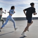 서래태권도 이미지