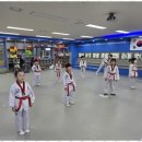 용인대 청명 태권도 이미지