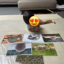 노래하는크레용 - 북구 동대로 85 | 노래하는크레용