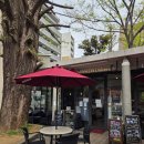 카페(cafe)125