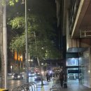 써던크로스 | 멜버른에서 살아남기- 호스텔 생활, 단기숙소리뷰 1탄, 캐릭하우스, 엘리자베스호스텔