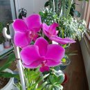 옥계남로5길-1 이미지