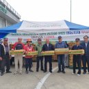 울산대파 이미지