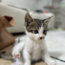 금곡양정행정복지센터 1층 이미지