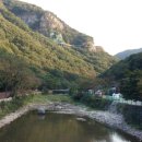 내장산약국 Daum카페