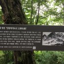 가온노래연습장 | [도심 속 걷기 좋은 숲길] 인왕산자락길~북악하늘길