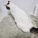 송파 마리동물병원 이미지