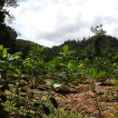 미소농장 이미지