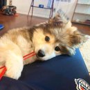 (주)제나 이미지