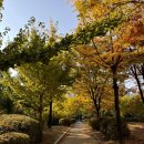산토리니의아침(인천구월점)