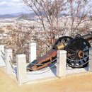 정오자원 이미지