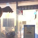 인천미추홀소방서 | [제품리뷰] 두바이로 초코 풀충전, 요아정 반값데이 (내돈내산)