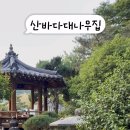 산바다야생화