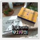 부쳐부쳐 | 동전패치 작지만 확실한 온기, 부쳐부쳐 동전패치 솔직후기